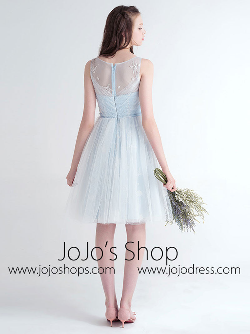 Ice Blue Bridesmaid Dresses